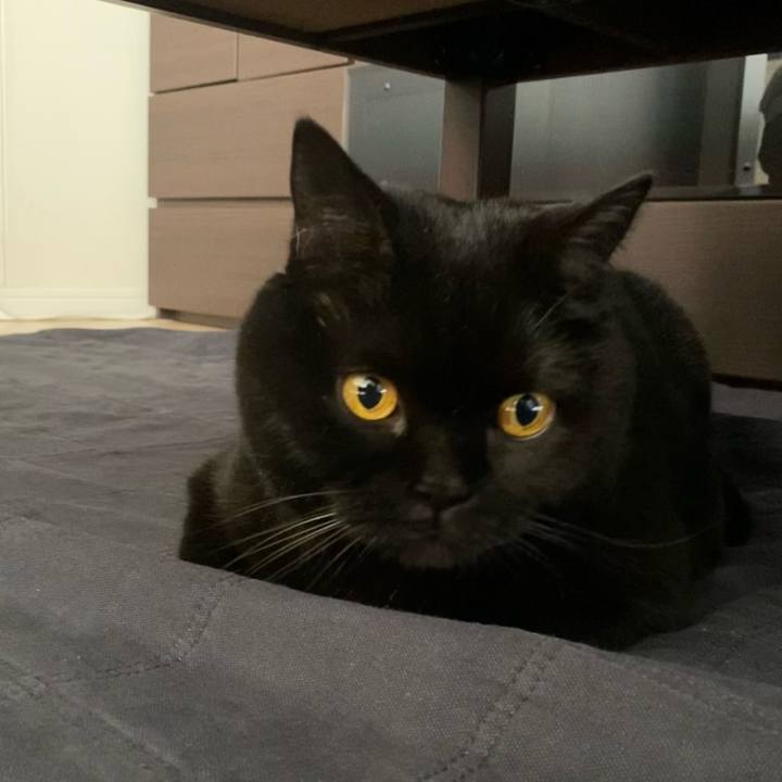 309e59bf b64c 4cdb b734 4d4338e1db64 1765497886282