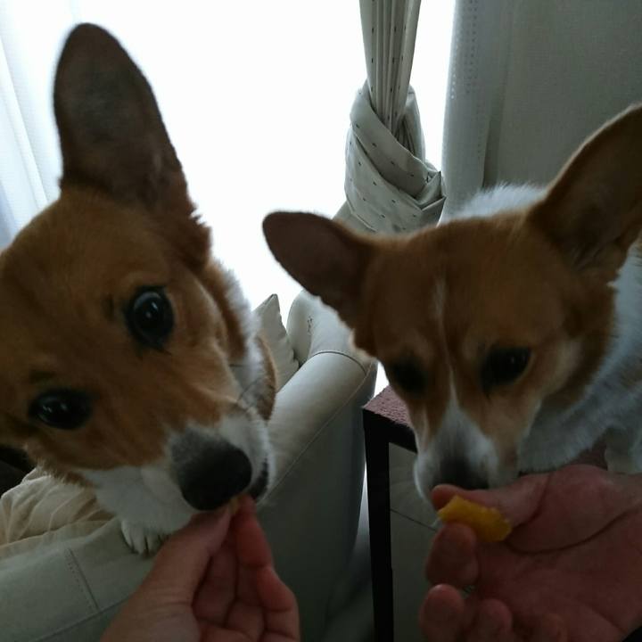 309e923d 9f5f 4412 b9db 0b7ed10d4740 1541846339791