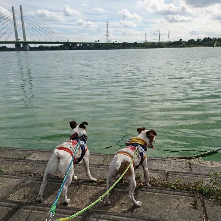 309e99c9 0d8d 49e2 91c8 ad77134581e6 1569742915347