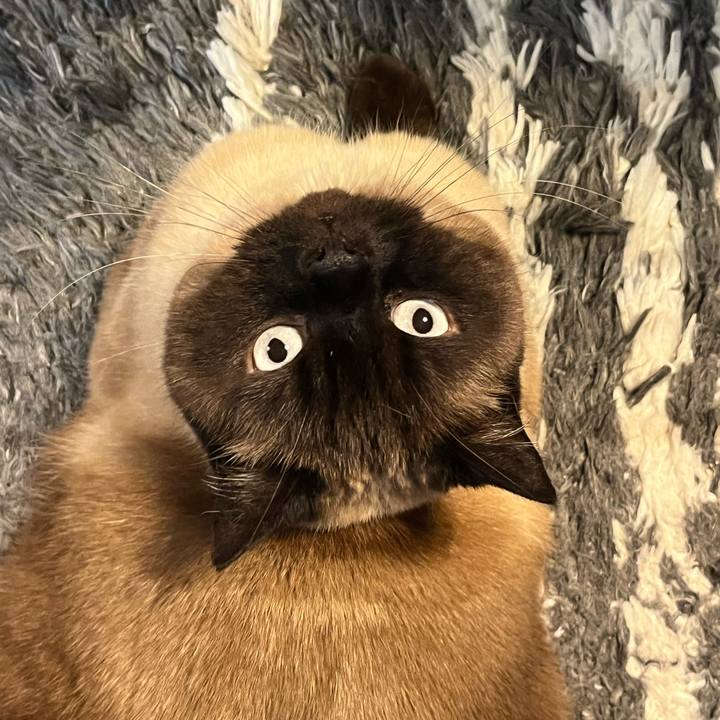 309ea595 4f82 405d 93d3 991d31e7cec8 1746925658682