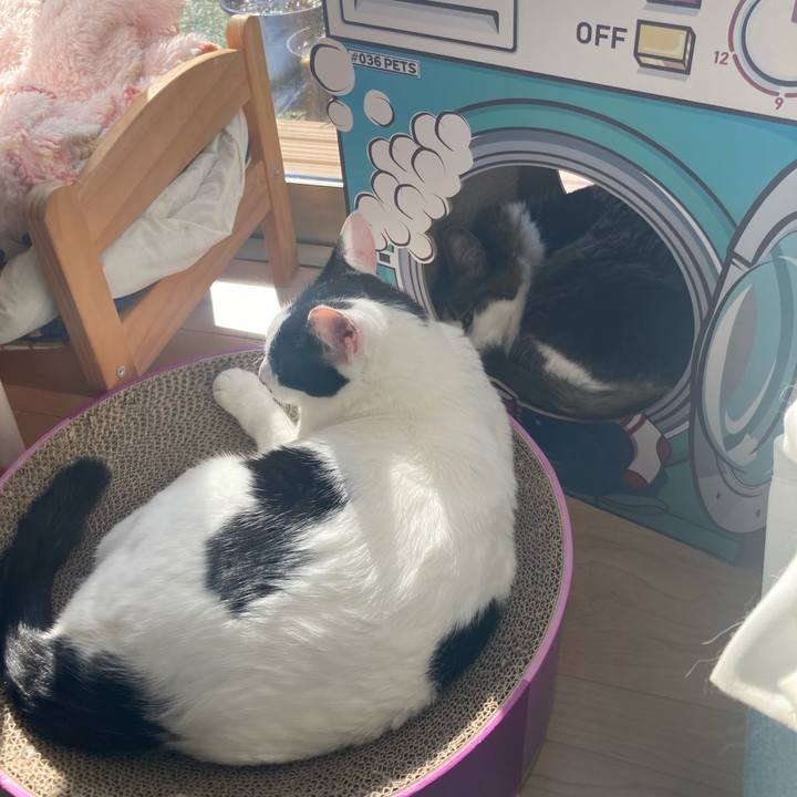 309ebd6d ef4c 4bc4 9d09 003e13c65724 1763090605060