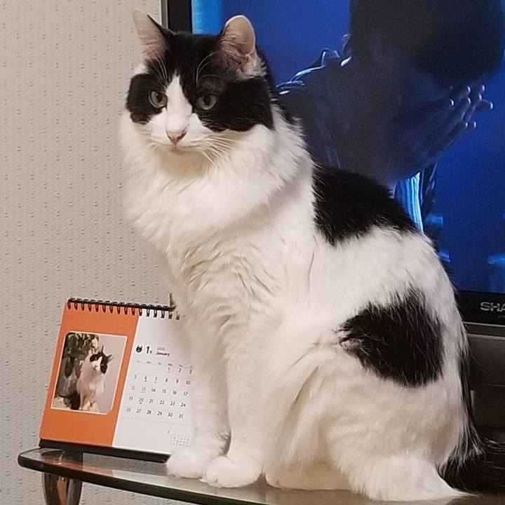 309ecb6d fc65 48dc 8594 61de0461b1de 1578256913277