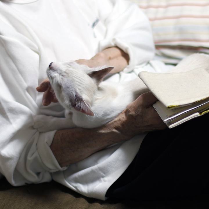 309edfe7 a658 427f b78f 3f77949605ee 1604714526550