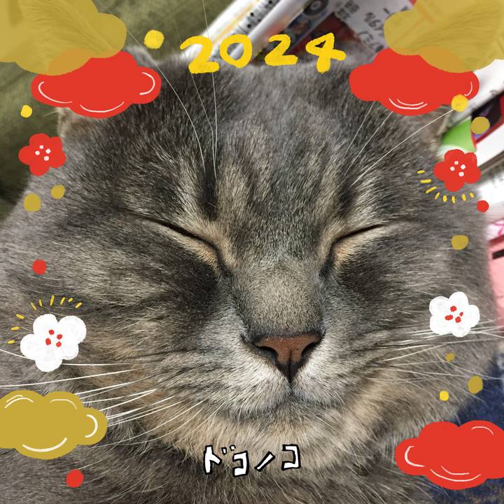 309f0142 2664 4fb6 85f0 6ec5d309cdf0 1704241156083