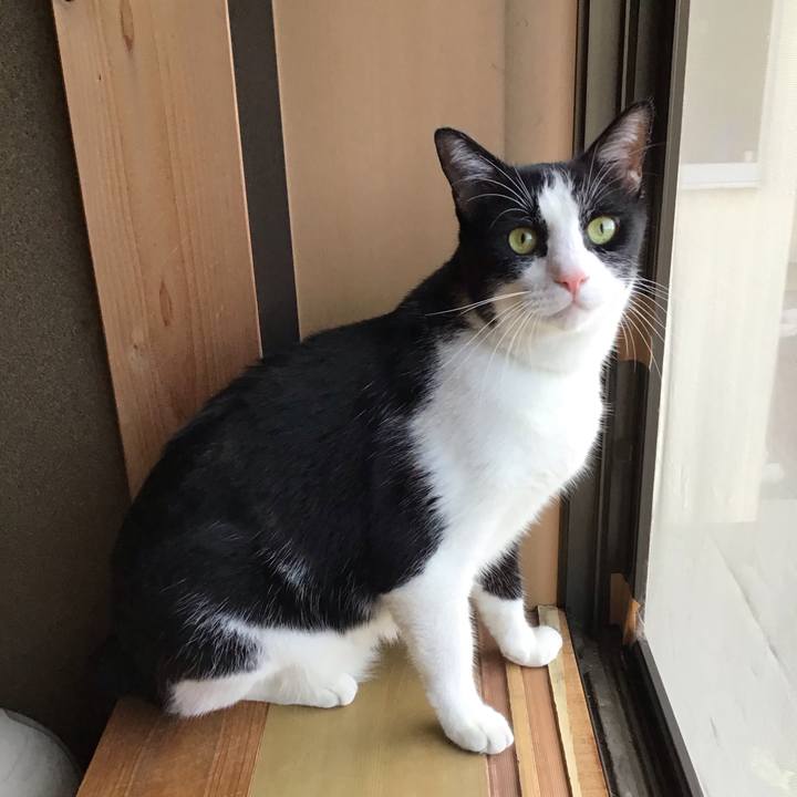 309f457e 6225 4a73 923e 9652dbadaf8e 1725522630985