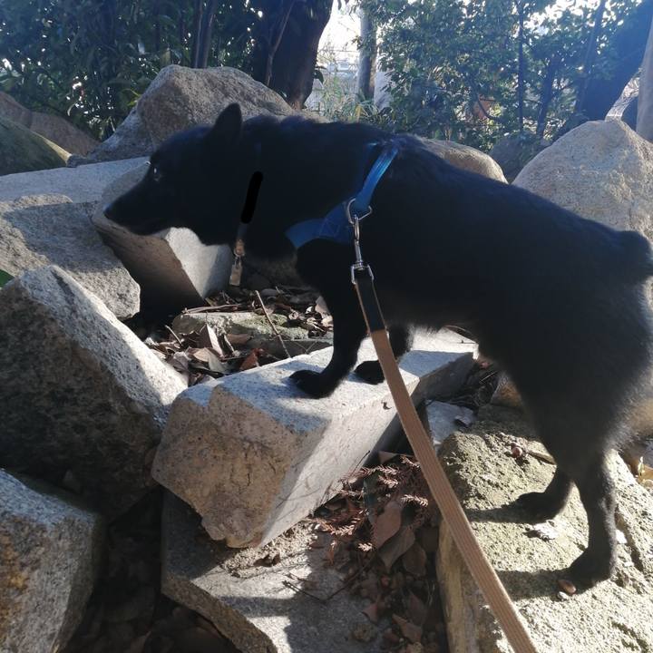 309f61bd 225f 417d 92aa f2a3b71bed83 1612569153188