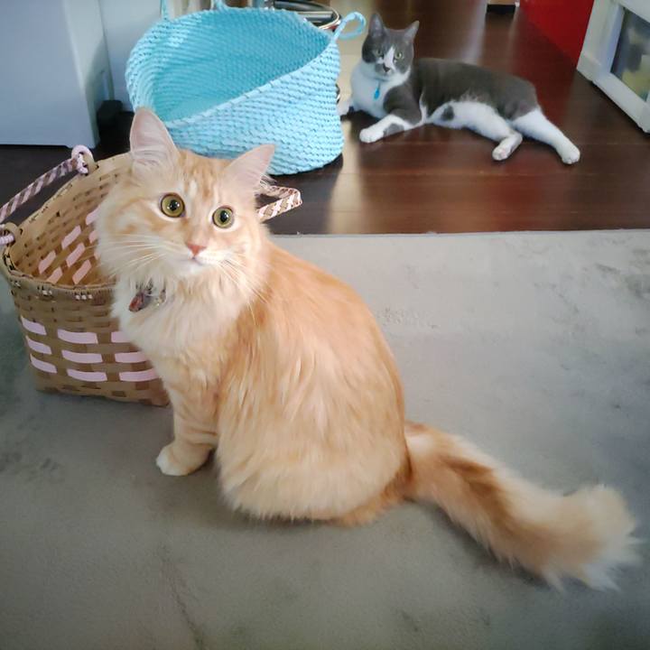 309f69b8 5b5f 4b4f 9ca4 b2b929a282ed 1660860354717