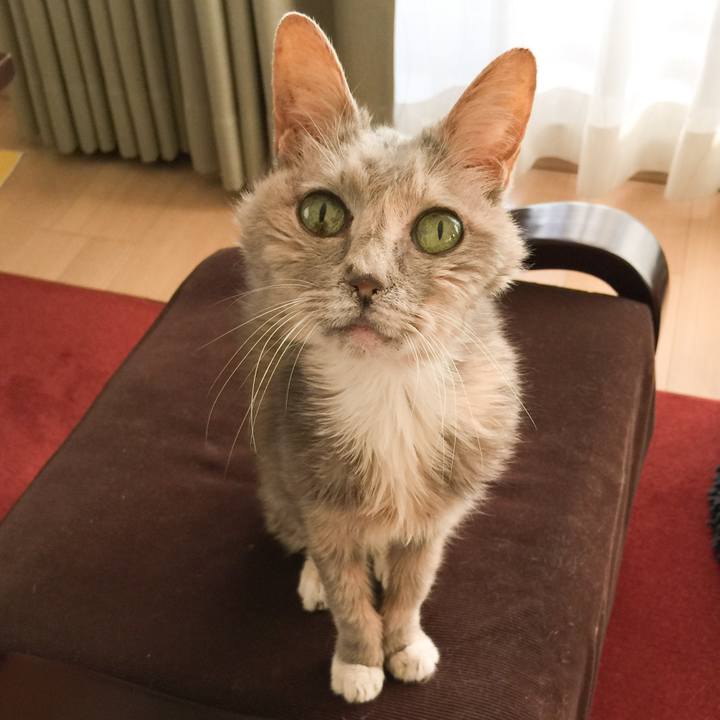 309fa63a 348e 4930 9327 caf0a6fabddf 1518938941841