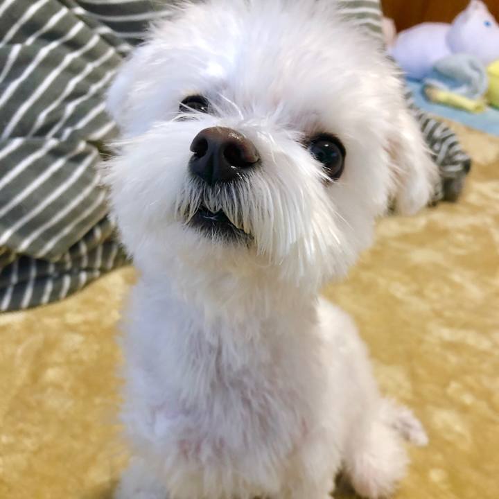 309fbc92 10eb 4eb0 be8d b1621212f636 1546635350079