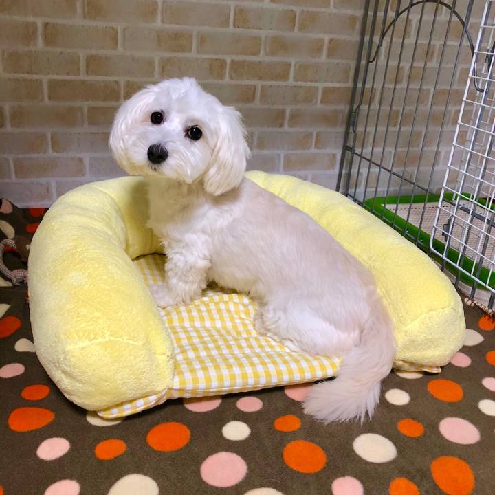 309fd4ff d499 438c 8b5a 1d5b32bc388c 1538626728165