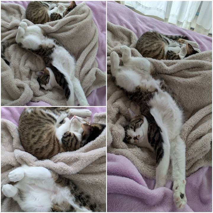 309fe1eb 04c8 4dbd a7cb a6eca6d95f05 1739859276628