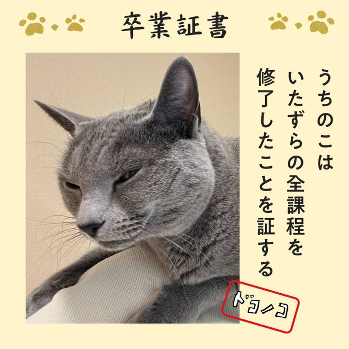 30a00ed8 4b4f 46c4 947e 014f065d47b3 1772233481797