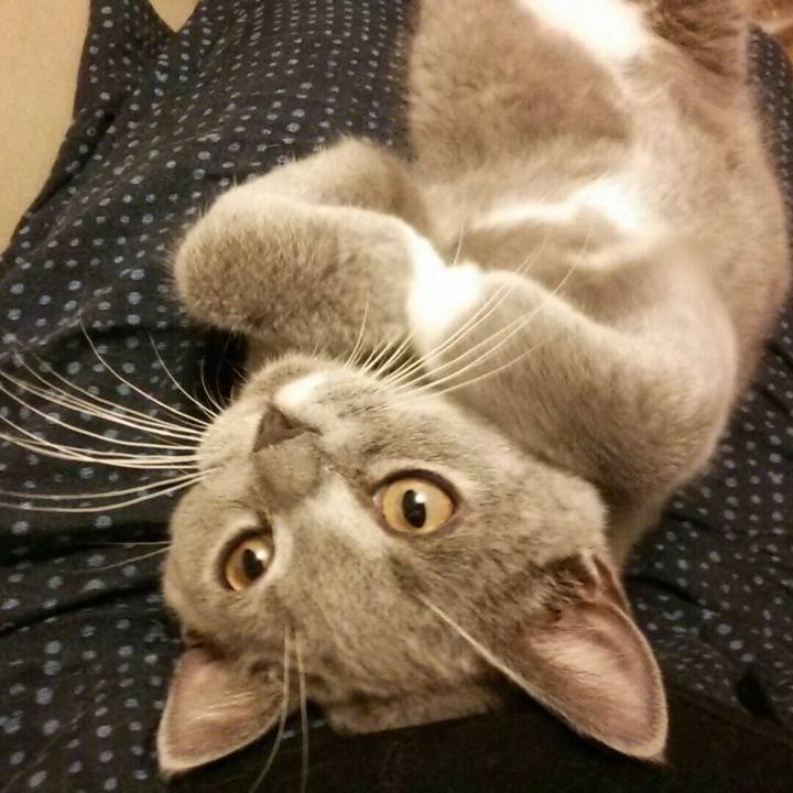 30a01b57 5f1e 4999 a472 be45992747b2 1535878150129