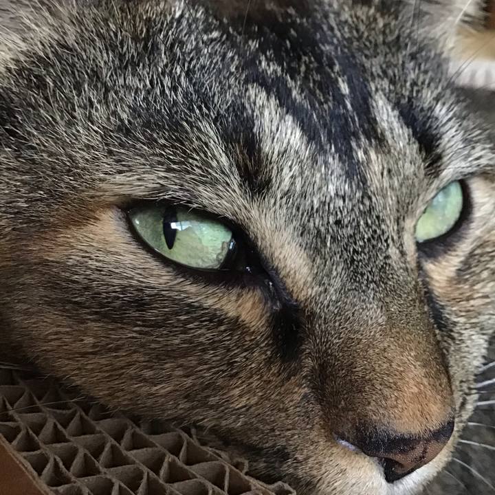 30a03333 6aa9 4aa4 bced 6b6923c543d3 1697706280315