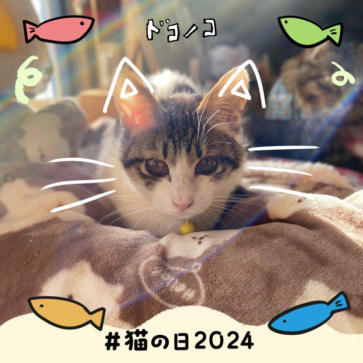 30a081a4 8328 4fa5 9a75 6319b87a3809 1708559279430