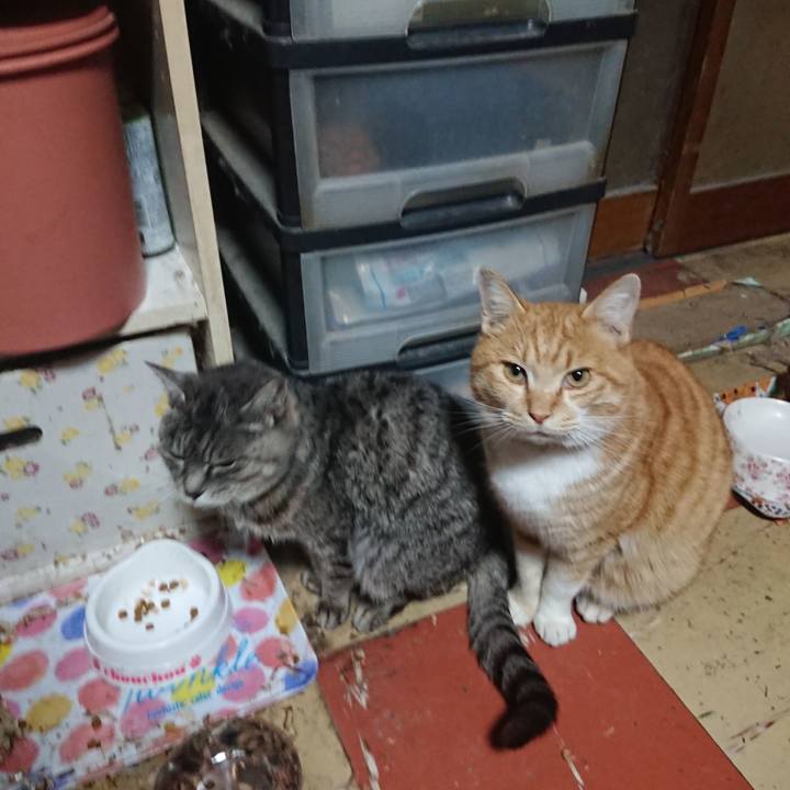 30a08e16 1be5 452d b8f1 3894232b3743 1577177389836