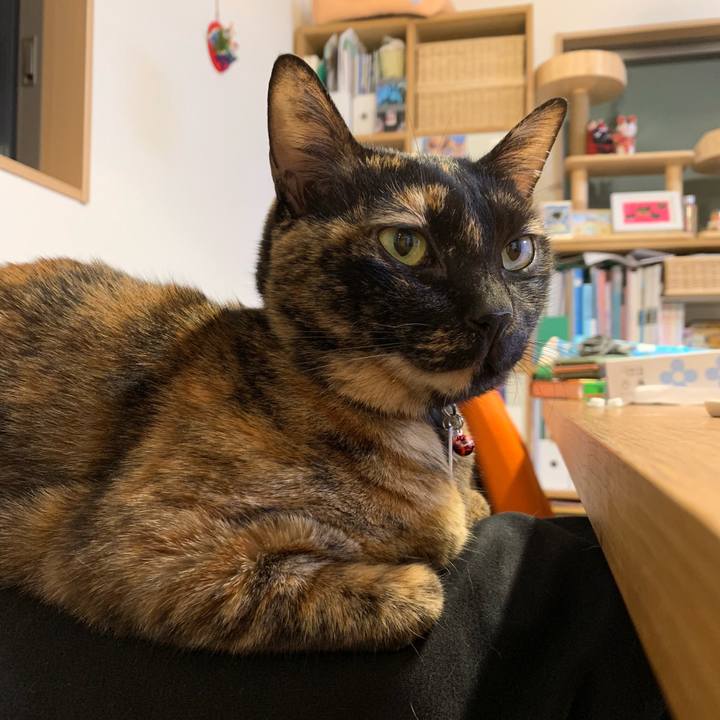 30a0940b 12a1 4a47 b721 464101cc5317 1547215721596