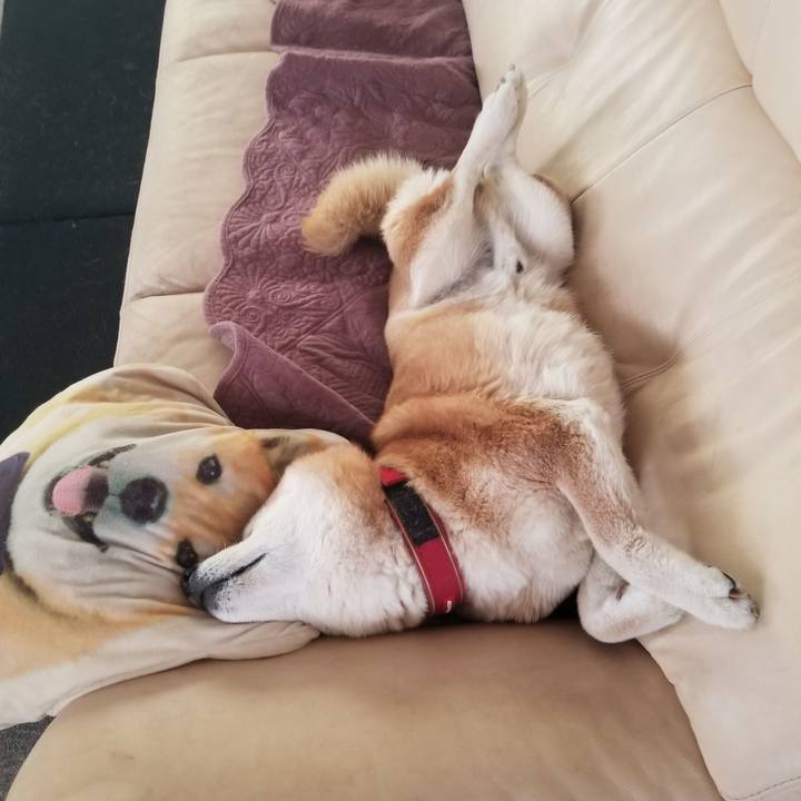 30a0a2ca bac0 4dbe 945a 4c5227c8ac17 1742356523774