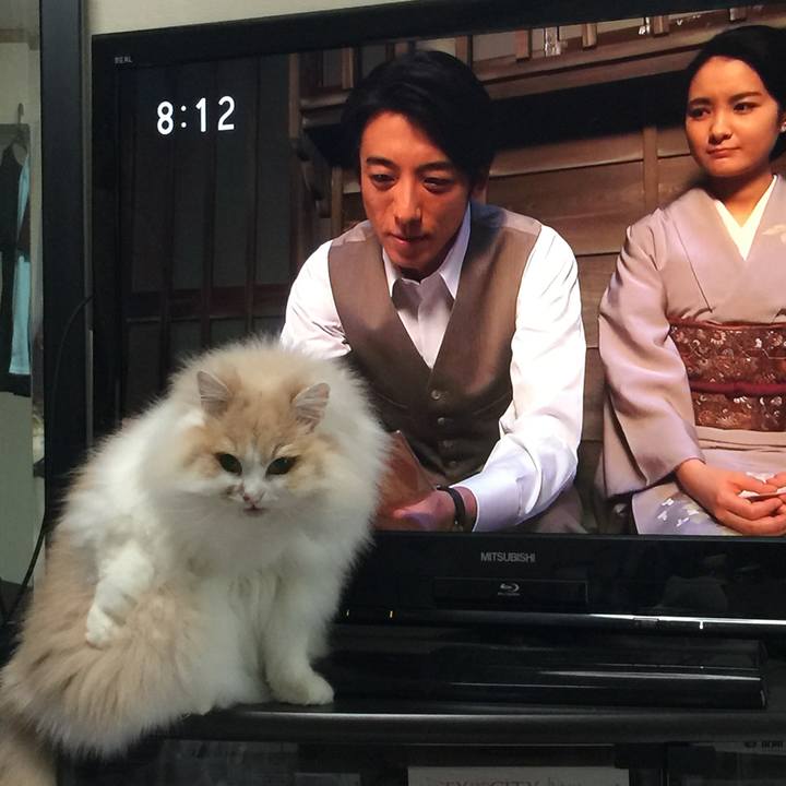 30a0b552 100f 4e04 86a8 44e695333903 1520916402404