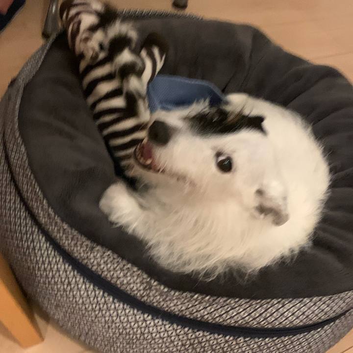 30a0c3ae 8b7d 446e be97 80f900a8a75b 1693310542216