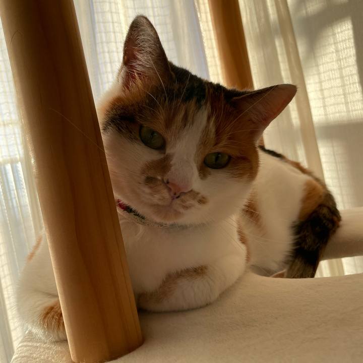 30a0e64d 8702 4285 a9b8 10cd979b1d57 1700376721258