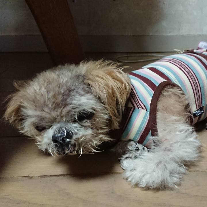 30a0e79a 9ec8 43bc abb2 8e52ceb8b676 1542295334648