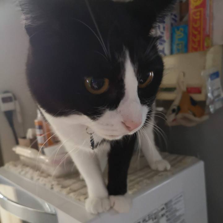 30a1289c 8ca1 4044 b902 555113ffd0ca 1633407258888