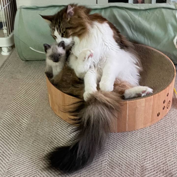 30a160d6 07f4 4726 9fdd cba707596bed 1686341608390