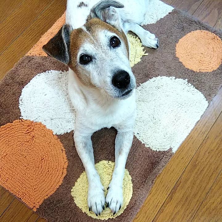 30a16da5 27f4 492b bac7 f2e1a968aa66 1558874062480