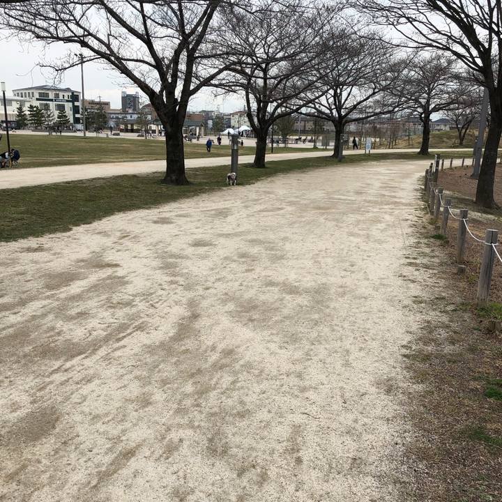 30a17007 c7e7 4415 bb06 3999c2114df1 1552513173492