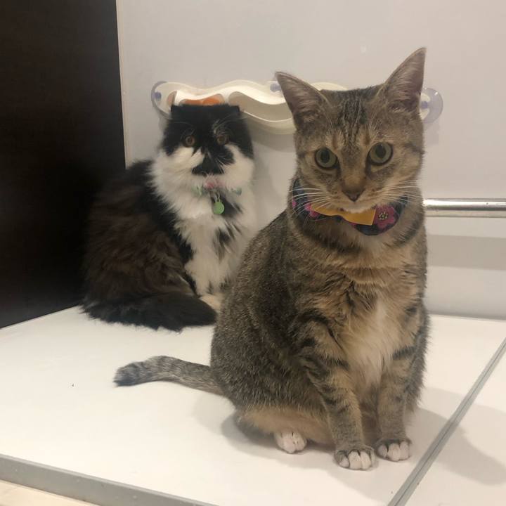 30a1802c ad93 47c1 8afa 50251e48ee65 1707052290523