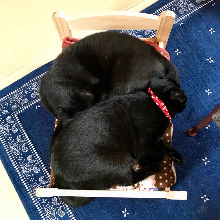 30a1939c f750 45cb 8fe7 f49643dd7d1c 1525058883670