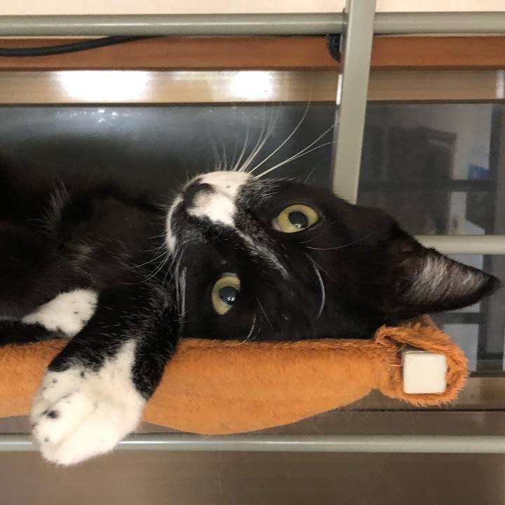 30a1ff5a 36ff 4b3f 84c1 7d1a0a1e9f78 1570160660517