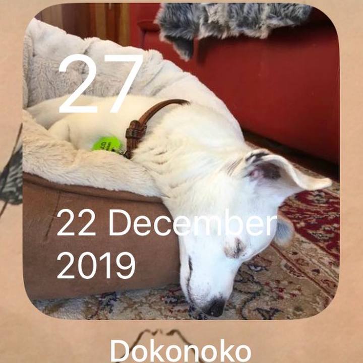 30a2200d 8e3f 4211 94db a68d8e7e0e4e 1766845418915