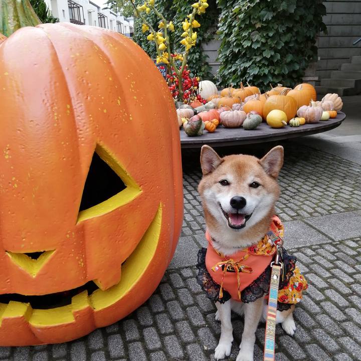 30a22fb8 c547 4b46 9724 411d34a3b979 1665241467760