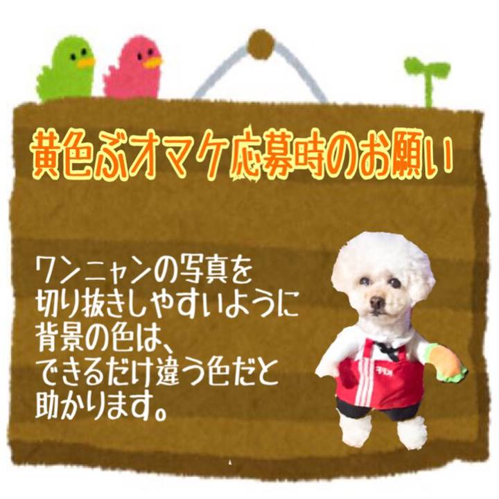 30a2622a 8206 428e bb54 cd57595034d5 1519433720513