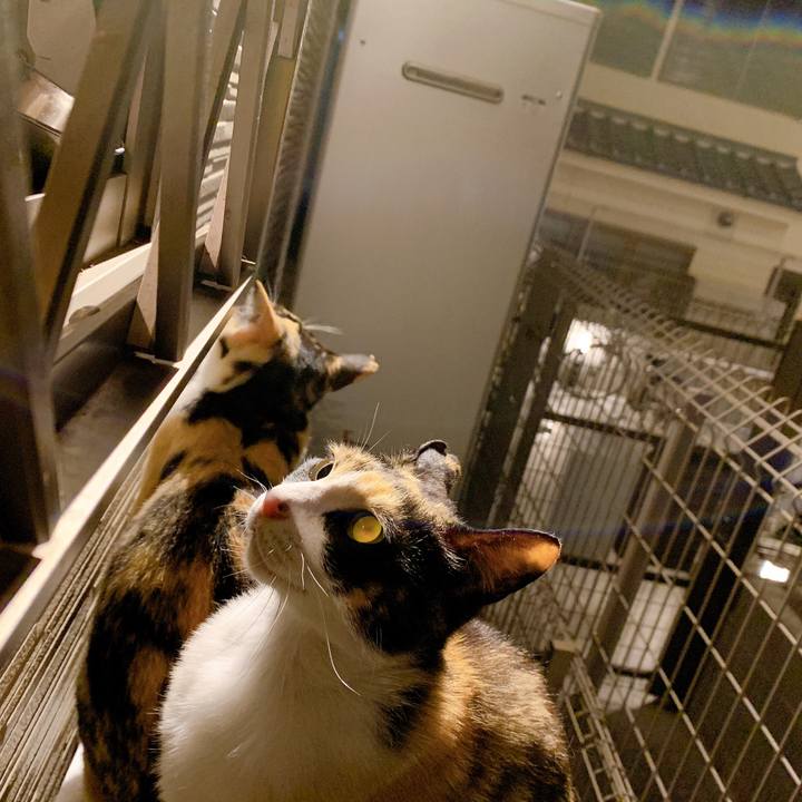 30a274a2 0187 4ef0 8348 057cd16c4bd0 1560572316529