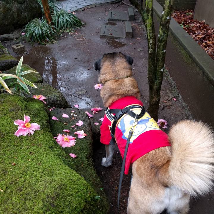 30a27772 86db 462e a20b c86d05a33caf 1520554909074