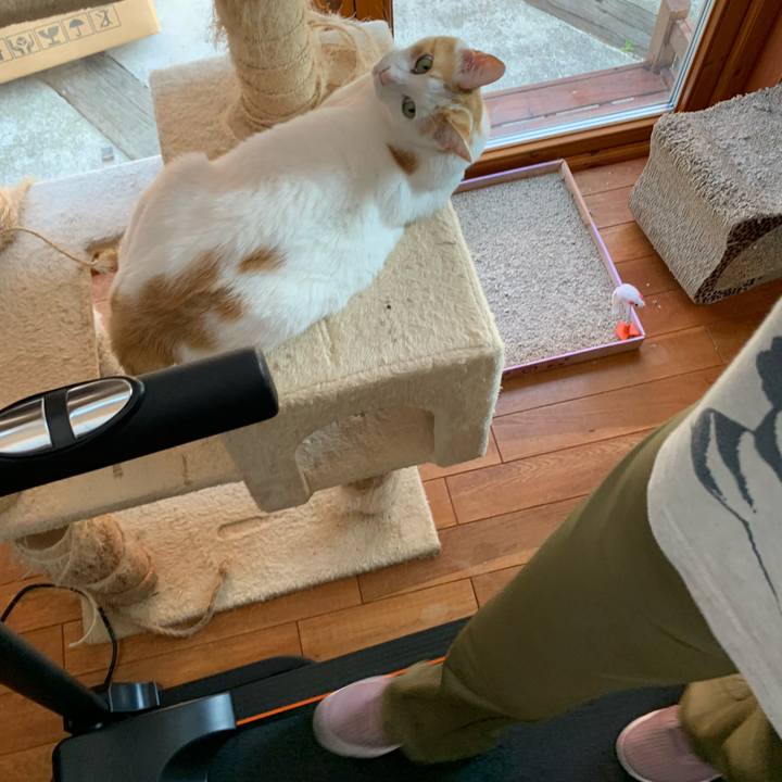 30a27fb3 85a8 4bdb af95 c1dc7b503894 1621759109513