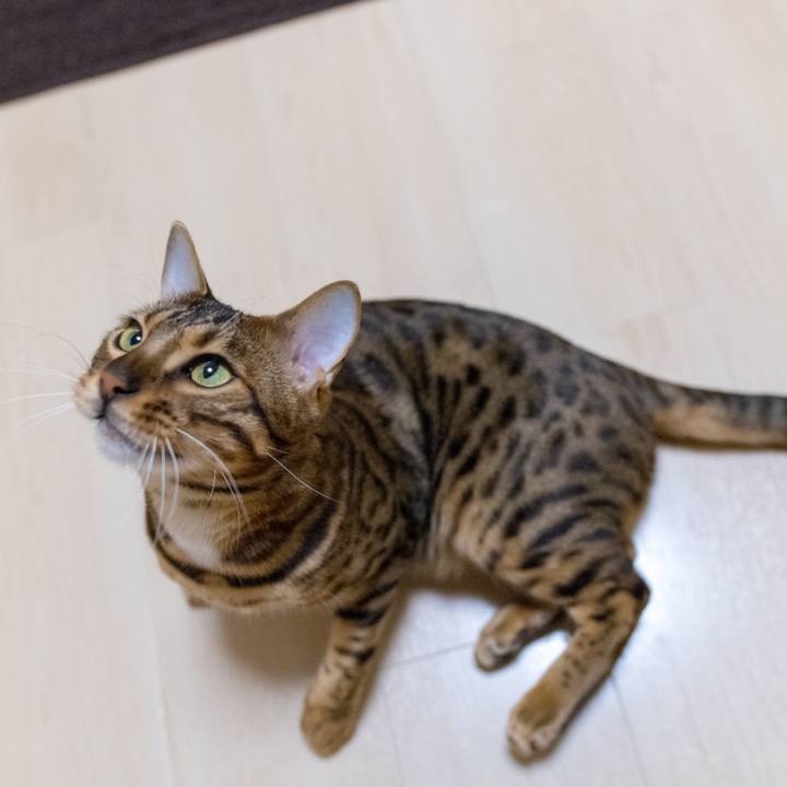 30a2bd76 e9f4 44e3 93da 91cfc10135c6 1520514246239