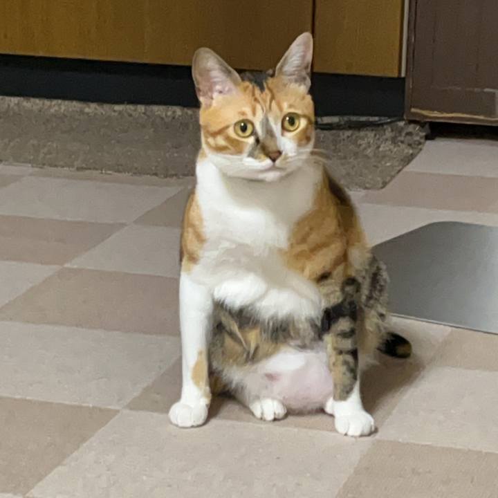 30a2be6e 9dcd 4aca aeb2 5aba3833e974 1691197287104