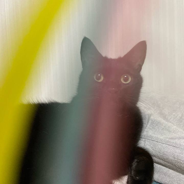 30a2d6cb 32da 48e0 838a 8872fb34912f 1699277719602