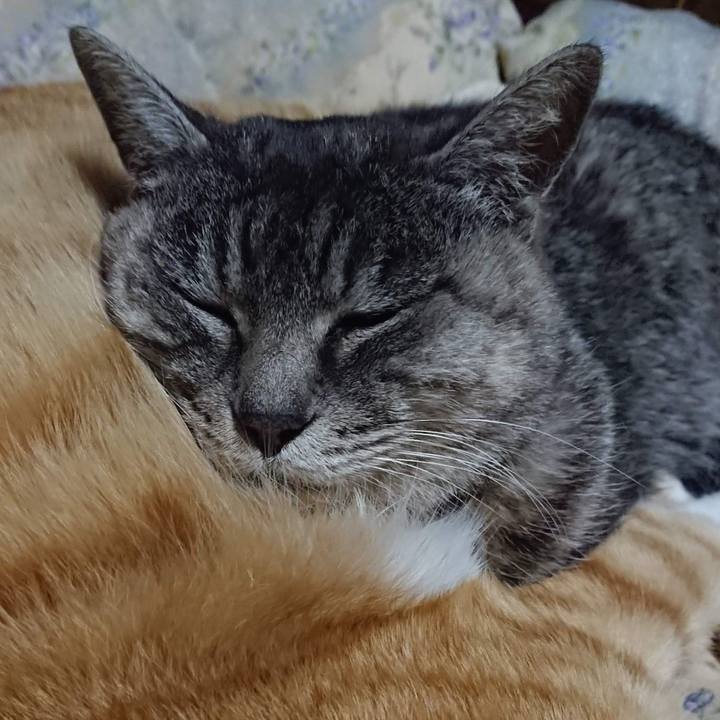 30a2e44a 26e4 44c3 b9c3 65dc4a11aea9 1607512354618