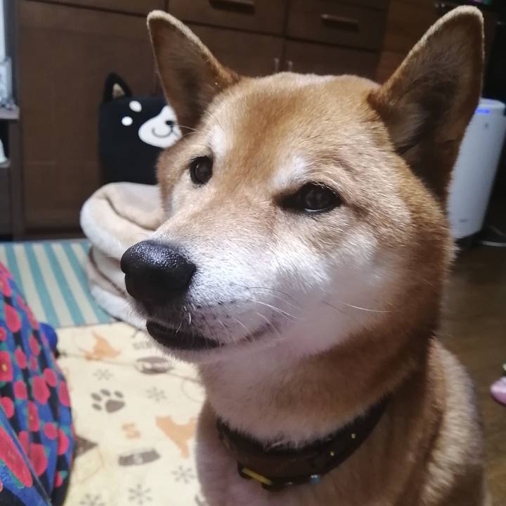 30a2fb67 9acd 4d9e ba25 ca302d009639 1583400861758