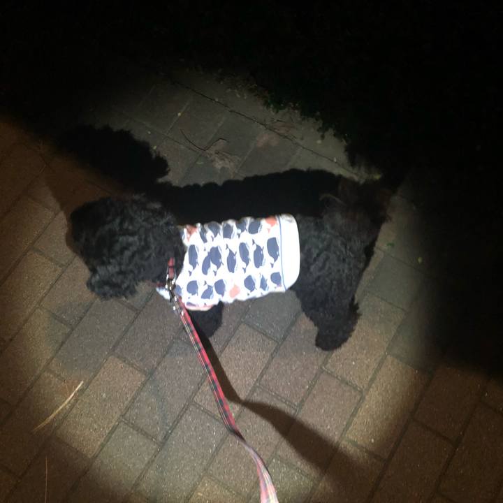 30a3e4ea 83c4 4e22 bc20 4a969f60f1d3 1563675702523