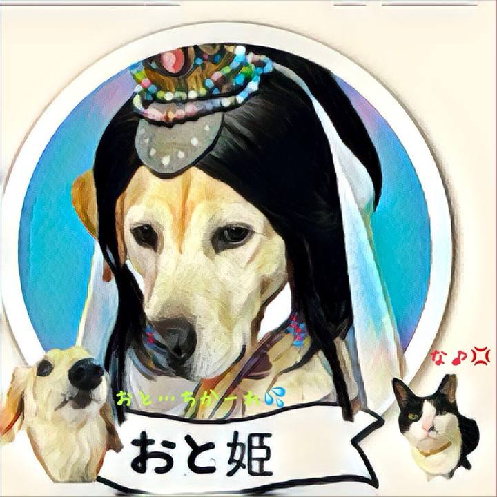 30a430f3 154b 4001 876b 6c8c6b504e23 1734734383941