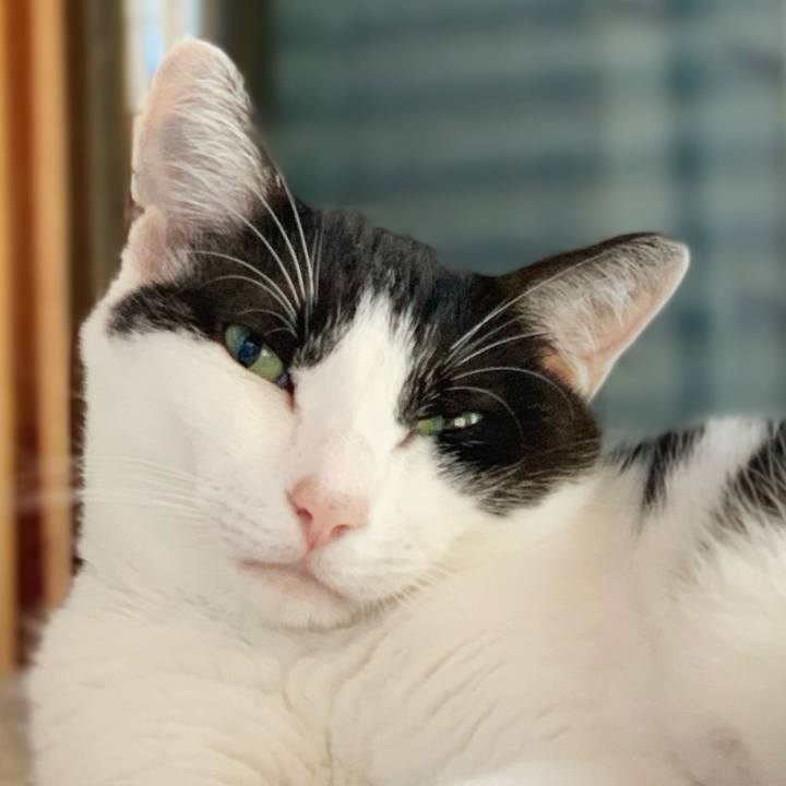 30a4599b af4c 440c 9cc5 79099ba9e4a5 1598922939715