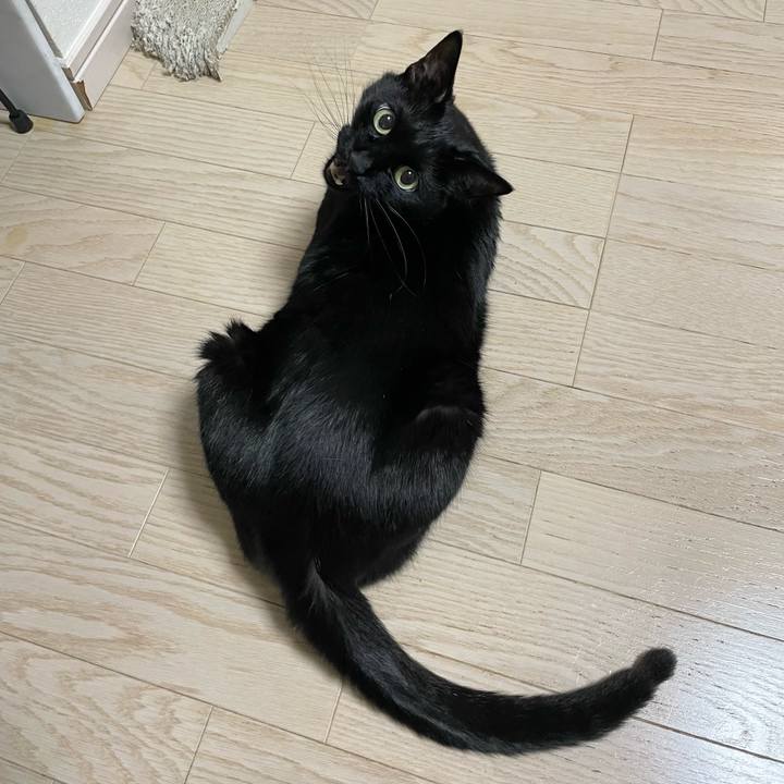 30a4625c a985 4c56 a3b2 63943e24825c 1650028118419