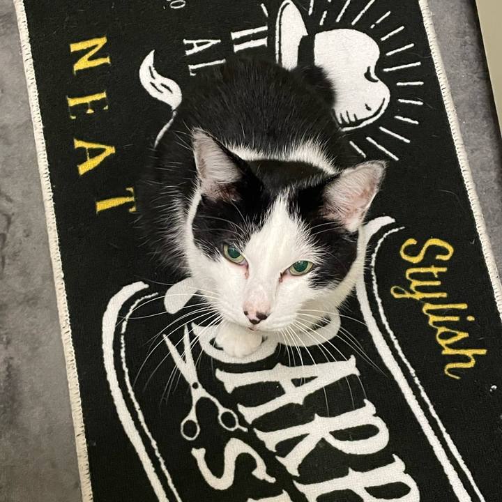 30a49d0f b6b7 47e4 be93 c6030294afb0 1728747726586