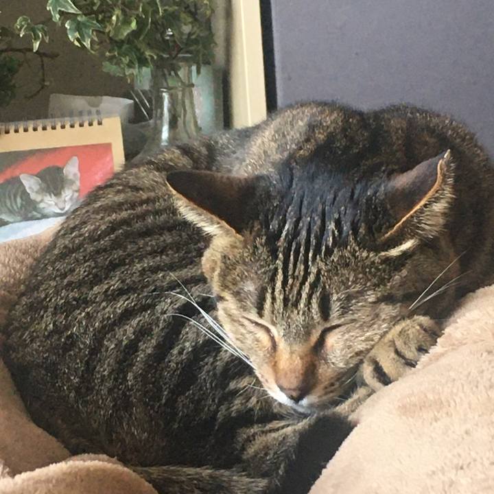 30a4a695 c544 4681 a1c1 68b201a2091a 1587184971927